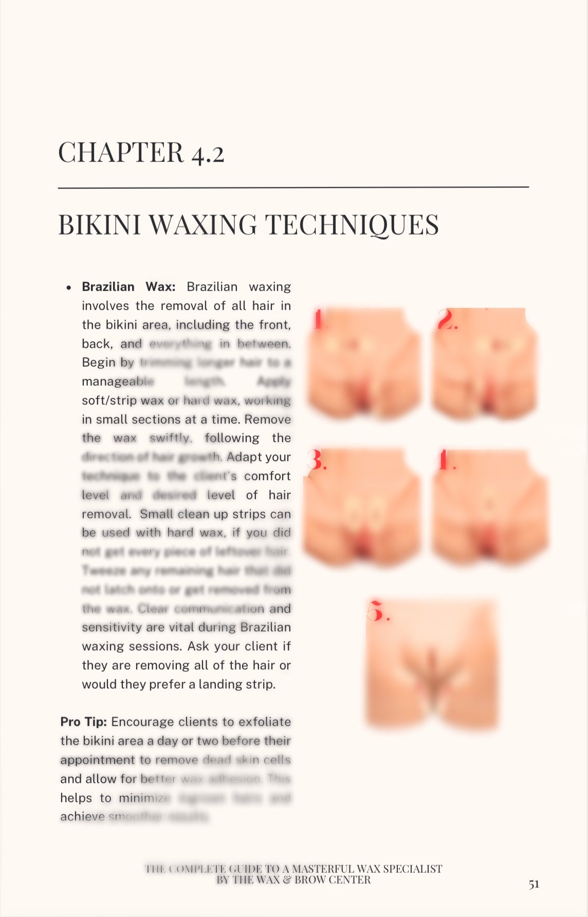 The Beginner’s Guide: To Becoming A Masterful Wax Specialist E-Book